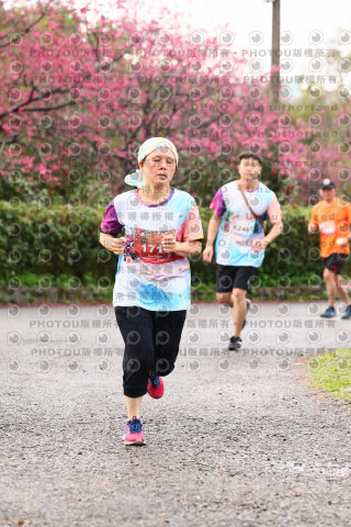2026左岸竹東櫻花馬拉松Zhudong Sakura Marathon