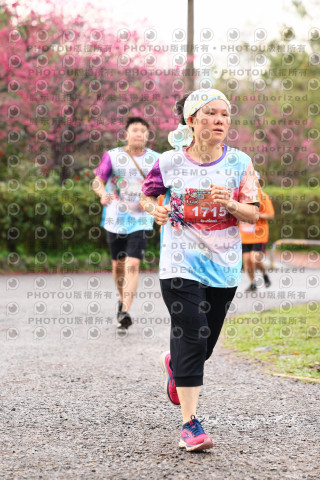 2026左岸竹東櫻花馬拉松Zhudong Sakura Marathon