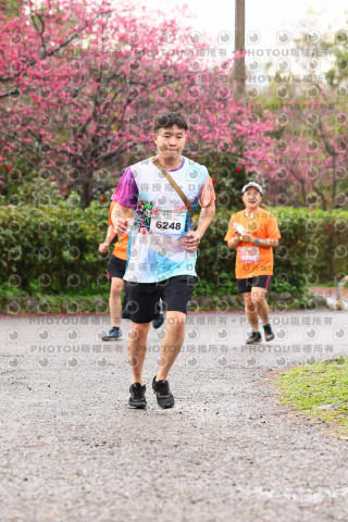 2026左岸竹東櫻花馬拉松Zhudong Sakura Marathon