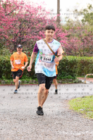 2026左岸竹東櫻花馬拉松Zhudong Sakura Marathon