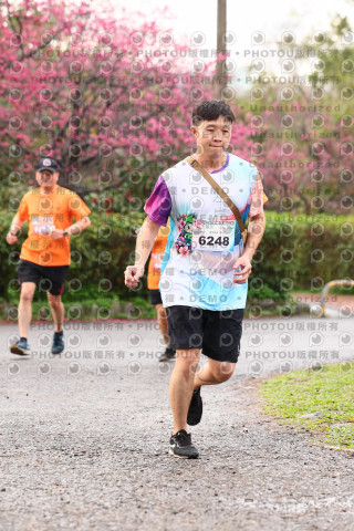 2026左岸竹東櫻花馬拉松Zhudong Sakura Marathon