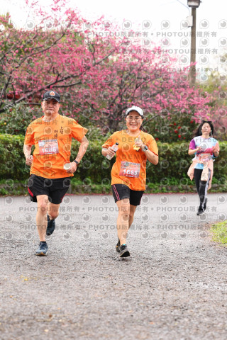 2026左岸竹東櫻花馬拉松Zhudong Sakura Marathon
