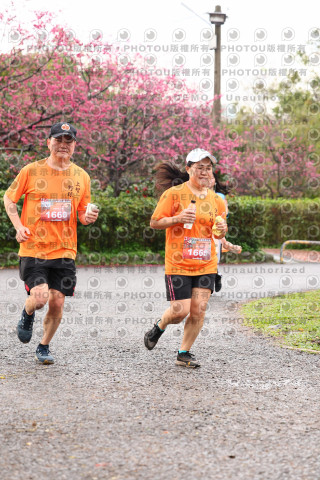 2026左岸竹東櫻花馬拉松Zhudong Sakura Marathon