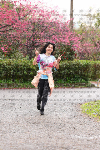 2026左岸竹東櫻花馬拉松Zhudong Sakura Marathon