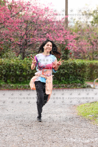 2026左岸竹東櫻花馬拉松Zhudong Sakura Marathon