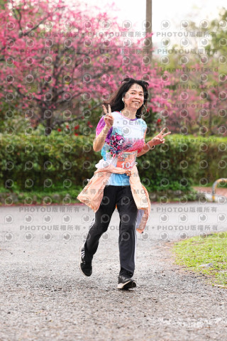 2026左岸竹東櫻花馬拉松Zhudong Sakura Marathon