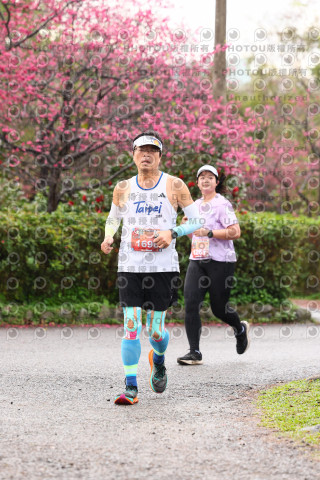 2026左岸竹東櫻花馬拉松Zhudong Sakura Marathon
