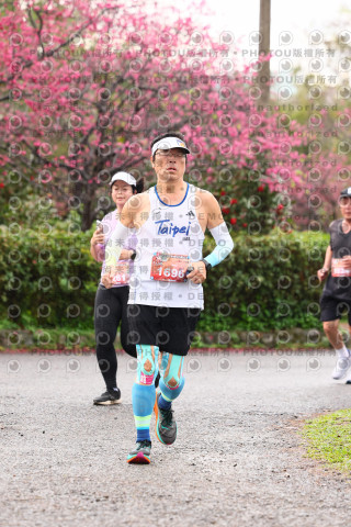 2026左岸竹東櫻花馬拉松Zhudong Sakura Marathon