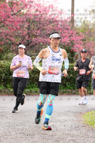 2026左岸竹東櫻花馬拉松Zhudong Sakura Marathon