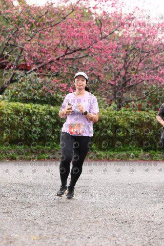 2026左岸竹東櫻花馬拉松Zhudong Sakura Marathon