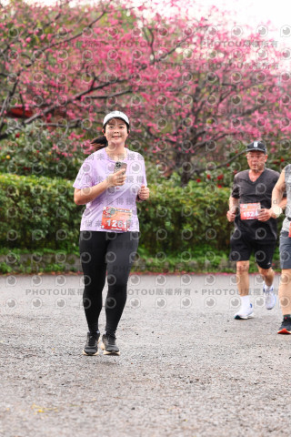 2026左岸竹東櫻花馬拉松Zhudong Sakura Marathon