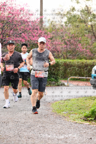 2026左岸竹東櫻花馬拉松Zhudong Sakura Marathon