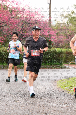 2026左岸竹東櫻花馬拉松Zhudong Sakura Marathon