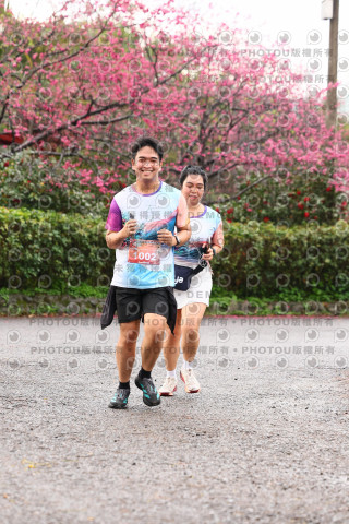 2026左岸竹東櫻花馬拉松Zhudong Sakura Marathon