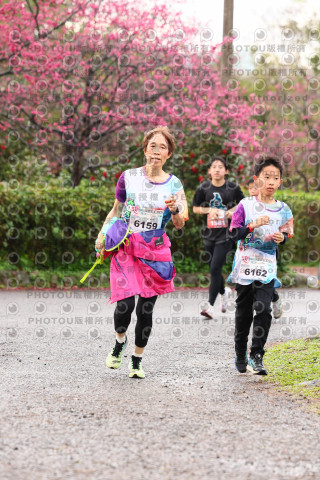 2026左岸竹東櫻花馬拉松Zhudong Sakura Marathon