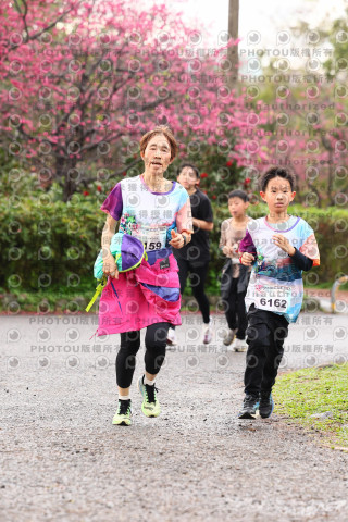 2026左岸竹東櫻花馬拉松Zhudong Sakura Marathon