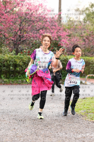 2026左岸竹東櫻花馬拉松Zhudong Sakura Marathon