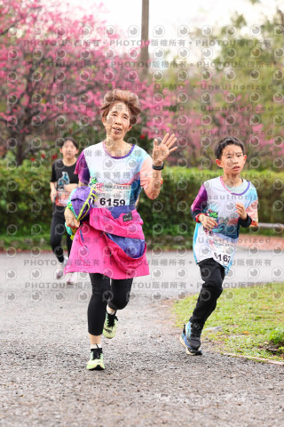 2026左岸竹東櫻花馬拉松Zhudong Sakura Marathon