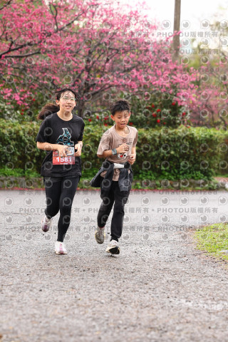 2026左岸竹東櫻花馬拉松Zhudong Sakura Marathon