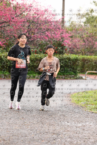 2026左岸竹東櫻花馬拉松Zhudong Sakura Marathon