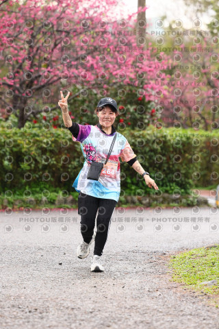 2026左岸竹東櫻花馬拉松Zhudong Sakura Marathon