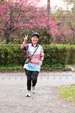 2026左岸竹東櫻花馬拉松Zhudong Sakura Marathon