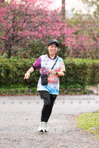 2026左岸竹東櫻花馬拉松Zhudong Sakura Marathon