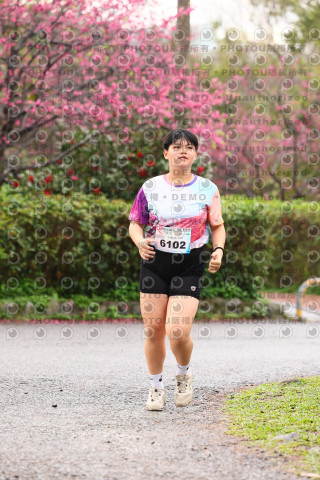 2026左岸竹東櫻花馬拉松Zhudong Sakura Marathon