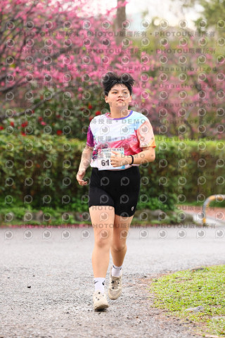 2026左岸竹東櫻花馬拉松Zhudong Sakura Marathon