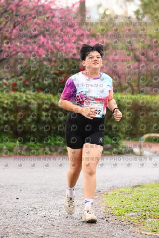 2026左岸竹東櫻花馬拉松Zhudong Sakura Marathon
