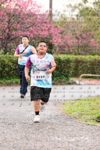 2026左岸竹東櫻花馬拉松Zhudong Sakura Marathon