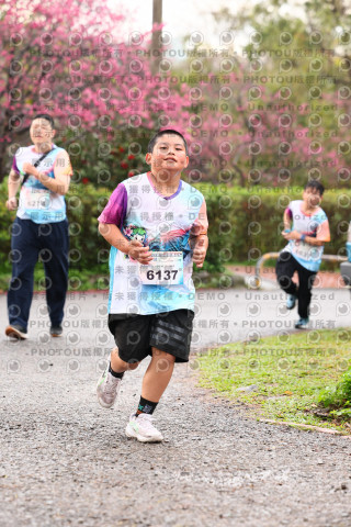 2026左岸竹東櫻花馬拉松Zhudong Sakura Marathon