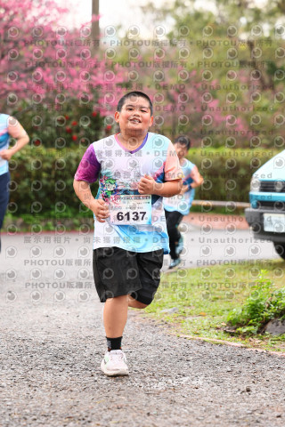 2026左岸竹東櫻花馬拉松Zhudong Sakura Marathon