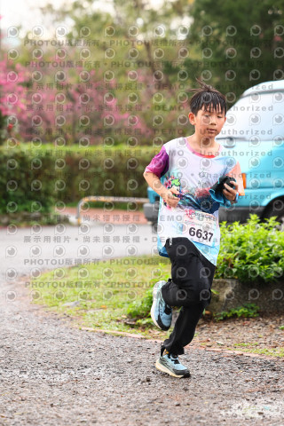 2026左岸竹東櫻花馬拉松Zhudong Sakura Marathon