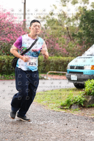2026左岸竹東櫻花馬拉松Zhudong Sakura Marathon