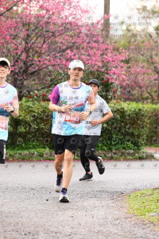 2026左岸竹東櫻花馬拉松Zhudong Sakura Marathon