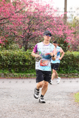 2026左岸竹東櫻花馬拉松Zhudong Sakura Marathon