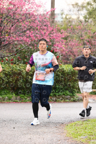 2026左岸竹東櫻花馬拉松Zhudong Sakura Marathon