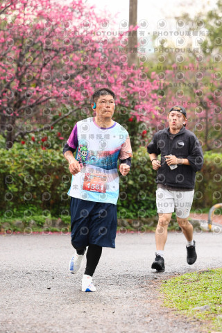 2026左岸竹東櫻花馬拉松Zhudong Sakura Marathon
