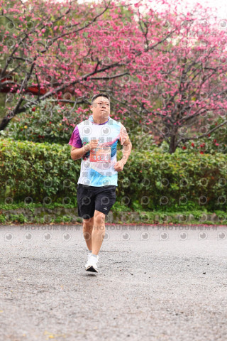 2026左岸竹東櫻花馬拉松Zhudong Sakura Marathon