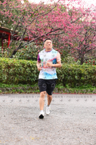 2026左岸竹東櫻花馬拉松Zhudong Sakura Marathon