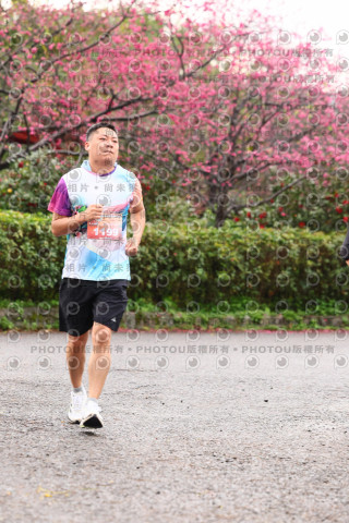 2026左岸竹東櫻花馬拉松Zhudong Sakura Marathon