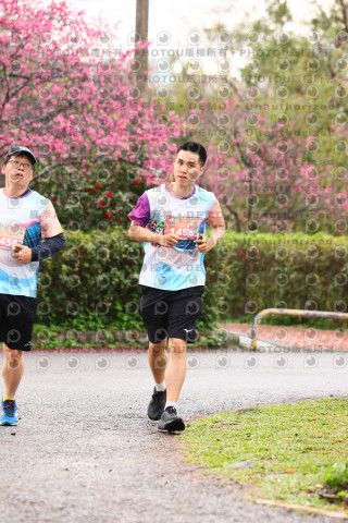 2026左岸竹東櫻花馬拉松Zhudong Sakura Marathon