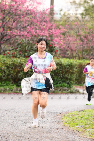 2026左岸竹東櫻花馬拉松Zhudong Sakura Marathon