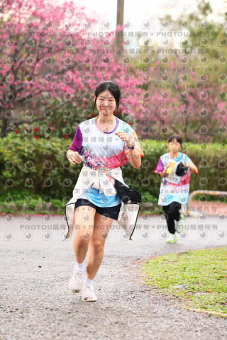 2026左岸竹東櫻花馬拉松Zhudong Sakura Marathon