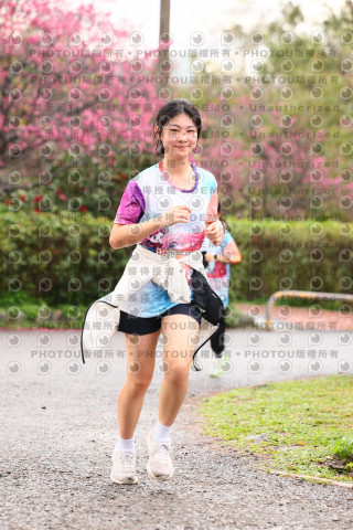 2026左岸竹東櫻花馬拉松Zhudong Sakura Marathon