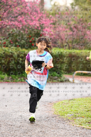 2026左岸竹東櫻花馬拉松Zhudong Sakura Marathon