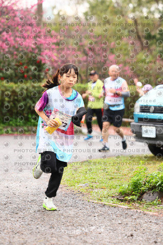 2026左岸竹東櫻花馬拉松Zhudong Sakura Marathon