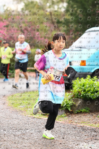 2026左岸竹東櫻花馬拉松Zhudong Sakura Marathon