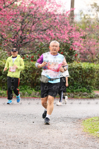 2026左岸竹東櫻花馬拉松Zhudong Sakura Marathon